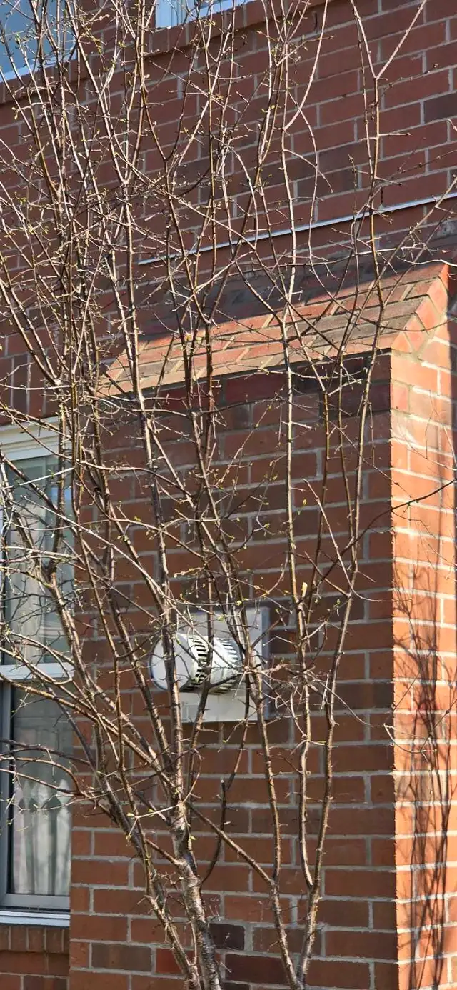 Bricklayer Mason Stone Brick block - Photo 5