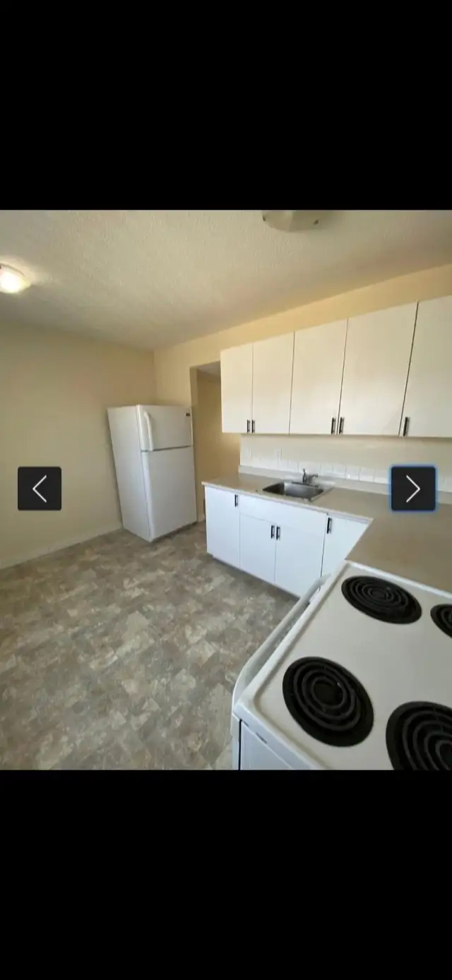 Beautiful 3 bedroom 2 bath. Great for a family - Photo 7