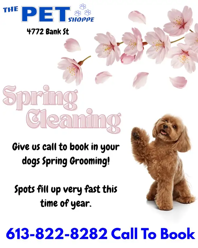 Book Your Spring Groom Today