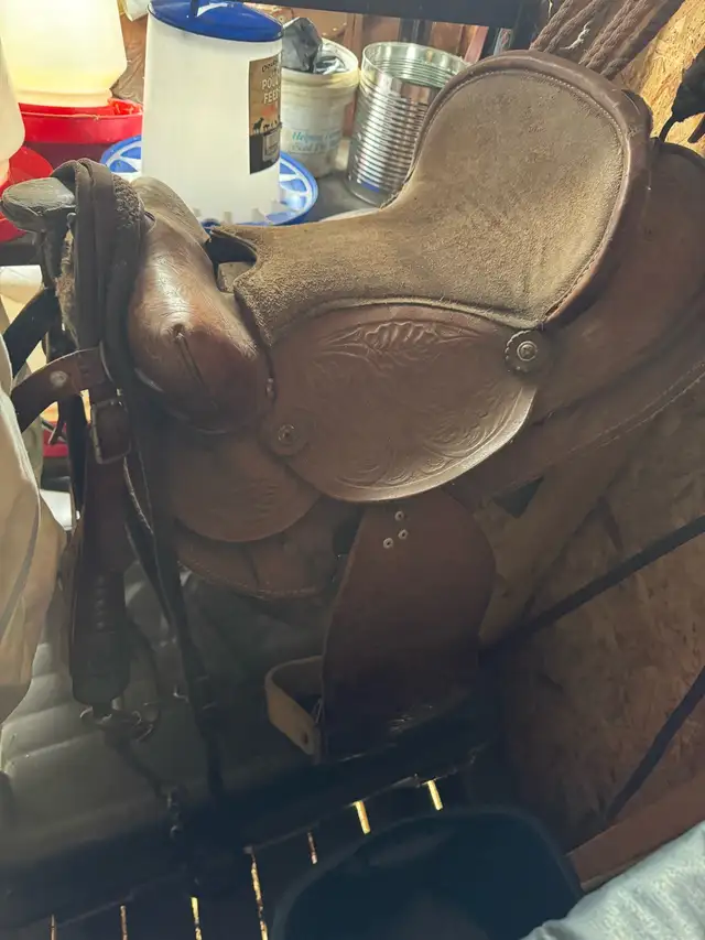 saddle and acc.