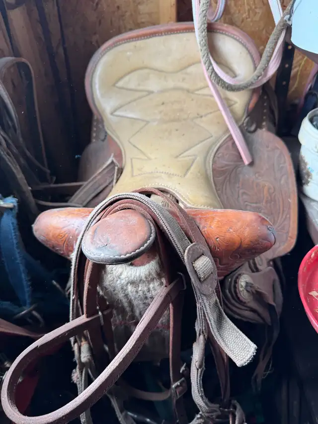 Saddle mens