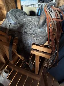 saddle older