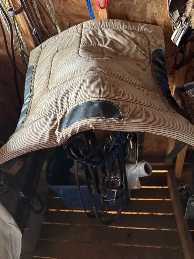saddle older - Photo 2