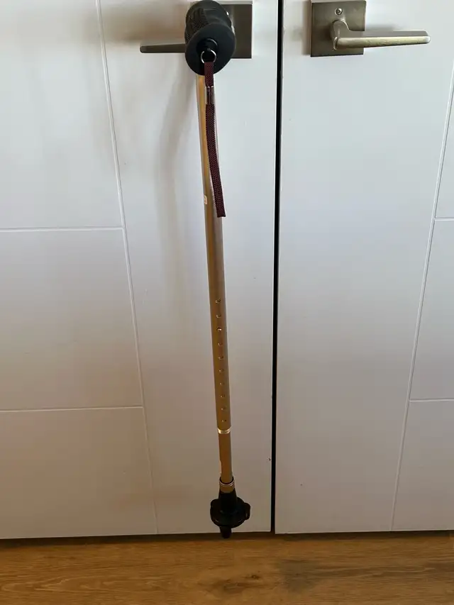 Walking Cane - Photo 2