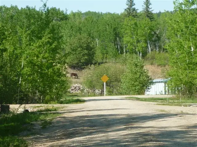 Fabulous Lake Property - Photo 6