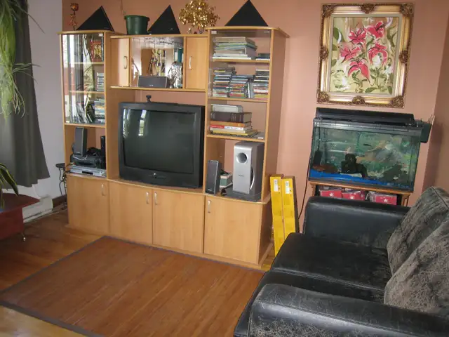 bright 4 1/2  lower apartment/lasalle - Photo 5