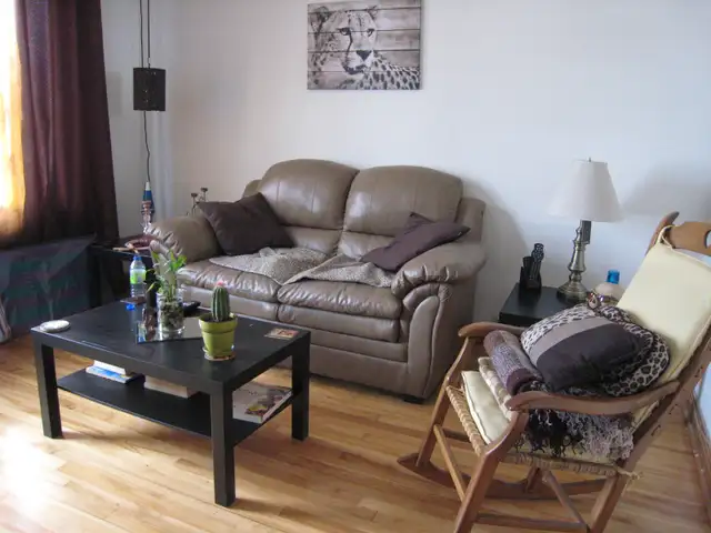 bright 4 1/2  lower apartment/lasalle - Photo 7