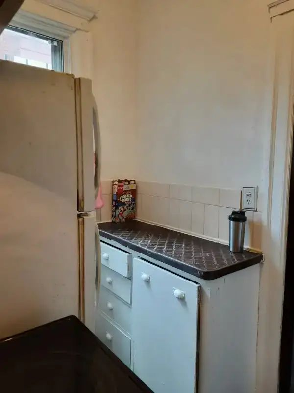 3 Bedroom Apartment  421 Wayndotte St W Widsor - Photo 8