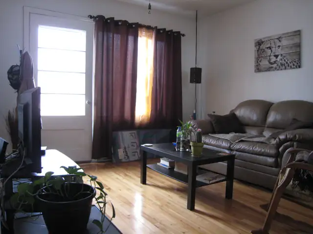 freshly renovated upper 3 1/2 apartment in lasalle - Photo 3