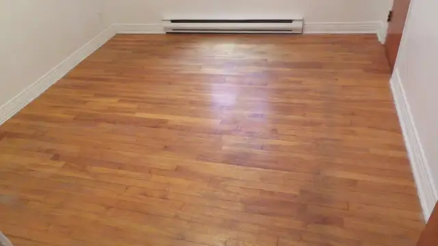 freshly renovated upper 3 1/2 apartment in lasalle - Photo 5