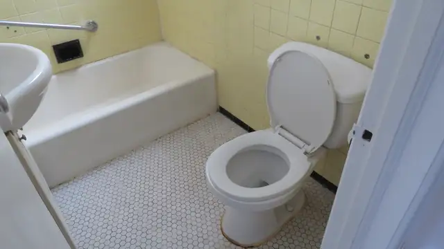 freshly renovated upper 3 1/2 apartment in lasalle - Photo 11
