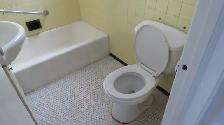 freshly renovated upper 3 1/2 apartment in lasalle - Photo 11