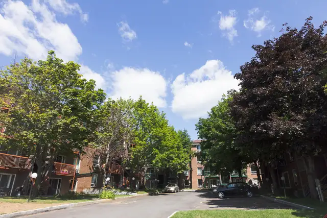 4 1/2 Charlesbourg - Henri-Bourassa - Place Gilbert - libre imm - Photo 2