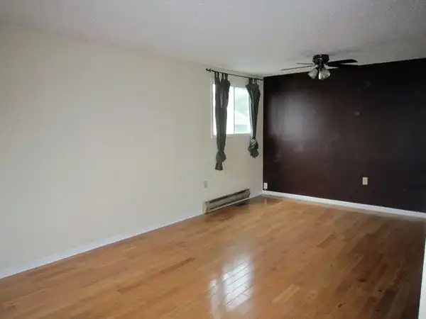3 Bed, 1.5 Bath House in Letitia Heights - Photo 4