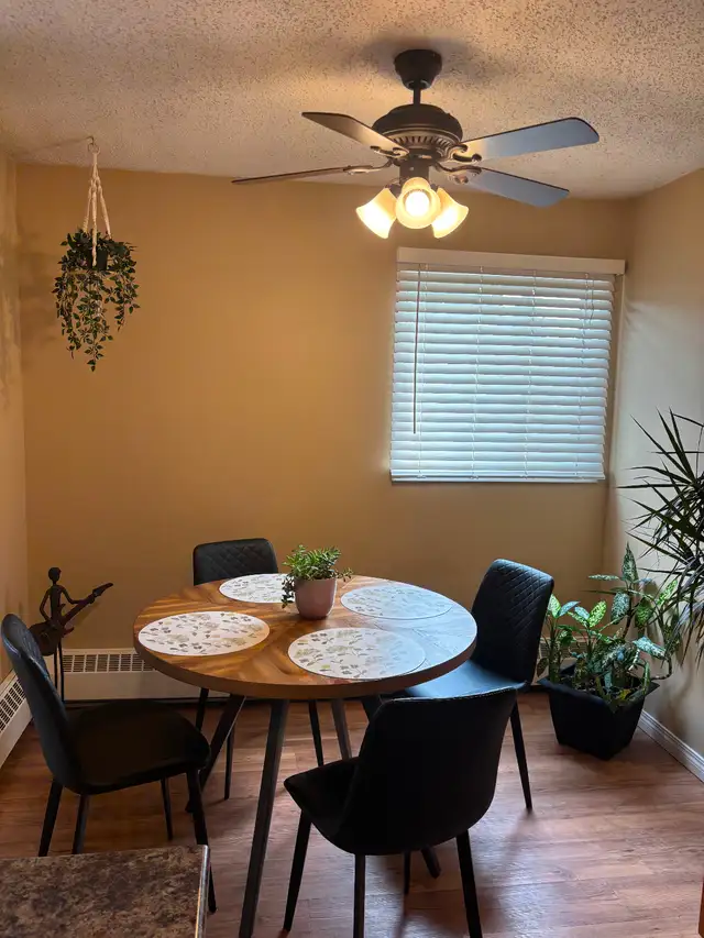 Red Deer 1 bdrm suite 1190 per mth incl all utilities but power - Photo 3
