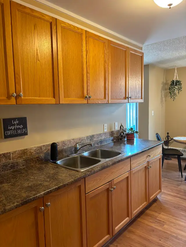 Red Deer 1 bdrm suite 1190 per mth incl all utilities but power - Photo 4
