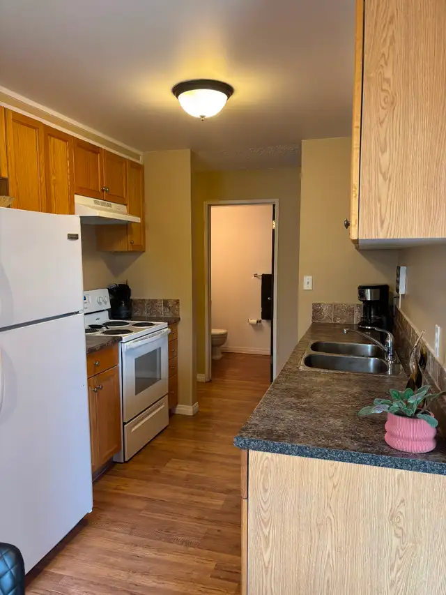 Red Deer 1 bdrm suite 1190 per mth incl all utilities but power - Photo 6