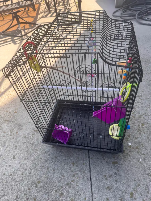 Bird cage used