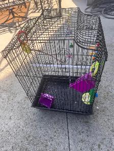 Bird cage used