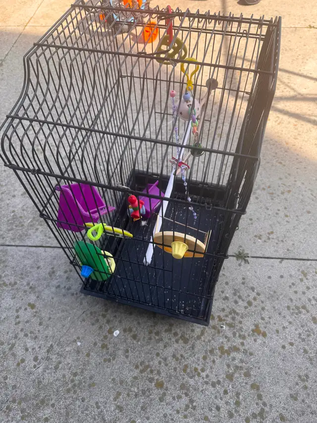 Bird cage used - Photo 2