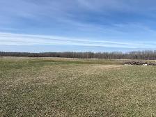 Bare Acreage