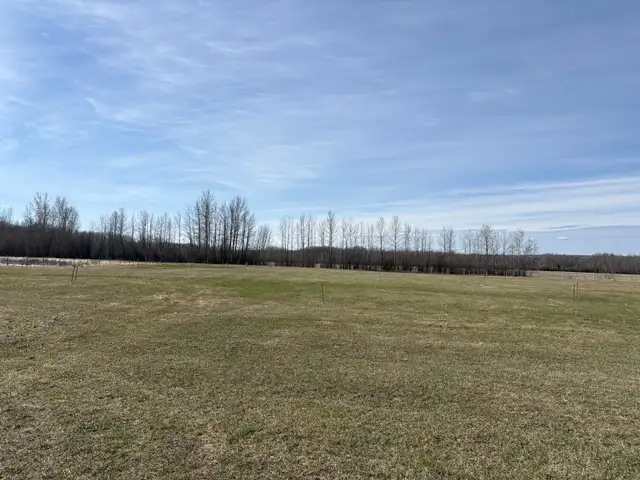 Bare Acreage - Photo 4