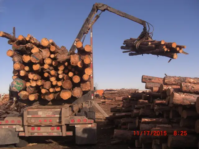 FIREWOOD - 1/2CD JACKPINE - SPLIT, SEASONED AND DELIVERED - Photo 4