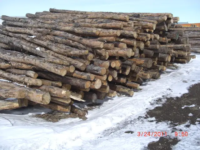 FIREWOOD - 1/2CD JACKPINE - SPLIT, SEASONED AND DELIVERED - Photo 5