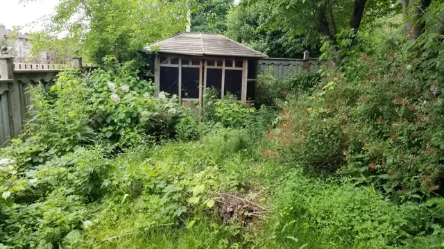 Professional Lawn Care & Seasonal Cleanup – Reliable & Local - Photo 2