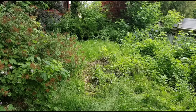 Professional Lawn Care & Seasonal Cleanup – Reliable & Local - Photo 3