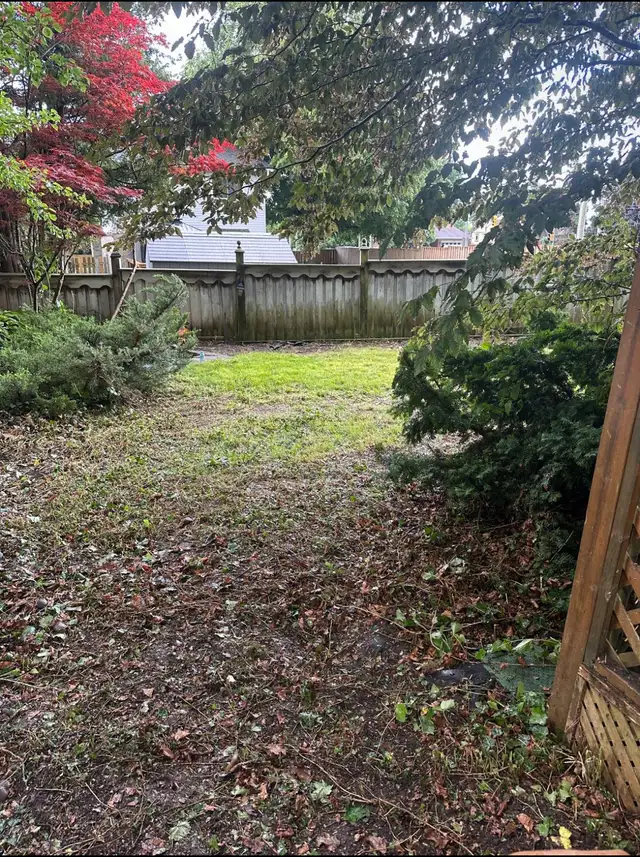 Professional Lawn Care & Seasonal Cleanup – Reliable & Local - Photo 5