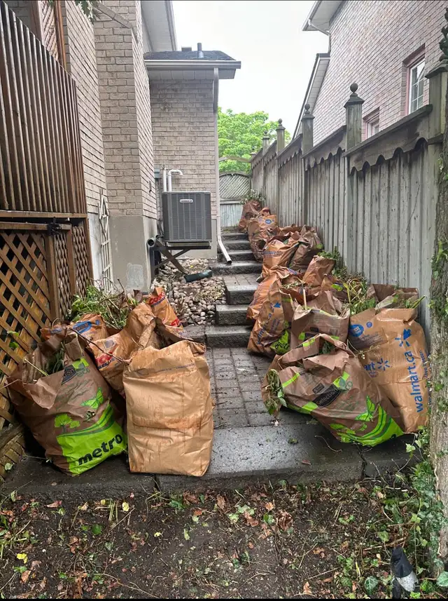 Professional Lawn Care & Seasonal Cleanup – Reliable & Local - Photo 6