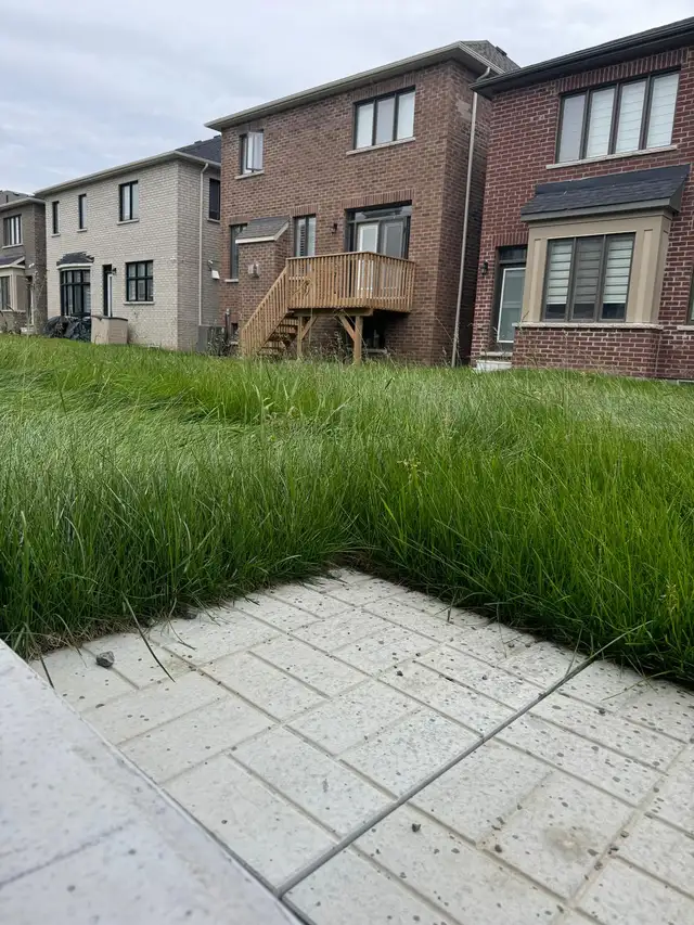 Professional Lawn Care & Seasonal Cleanup – Reliable & Local - Photo 7