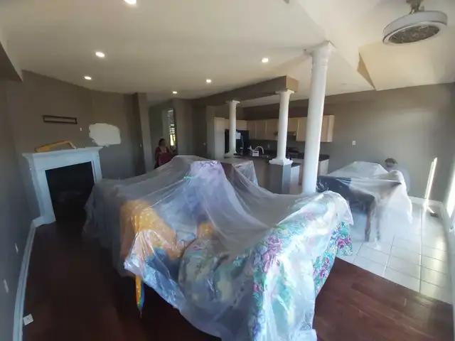 professional painting service