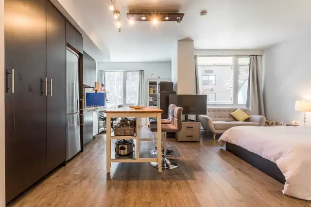 LOFT LUMINEUX 1ER JUILLET HEC/UDM/POLY - Photo 2