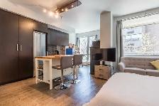 LOFT LUMINEUX 1ER JUILLET HEC/UDM/POLY - Photo 4