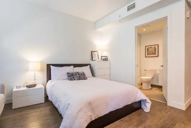 LOFT LUMINEUX 1ER JUILLET HEC/UDM/POLY - Photo 6