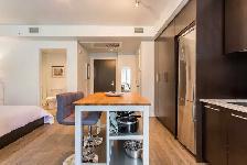 LOFT LUMINEUX 1ER JUILLET HEC/UDM/POLY - Photo 7