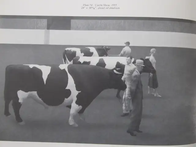 THE ART OF ALEX COLVILLE by Helen J. Dow - 1978 - Photo 7