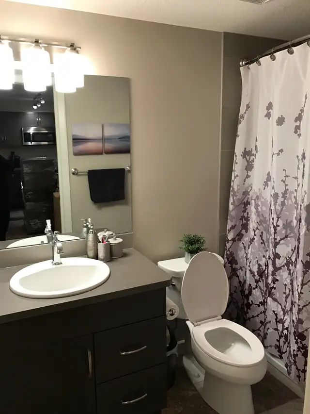 Beautiful Condo for rent - Photo 8