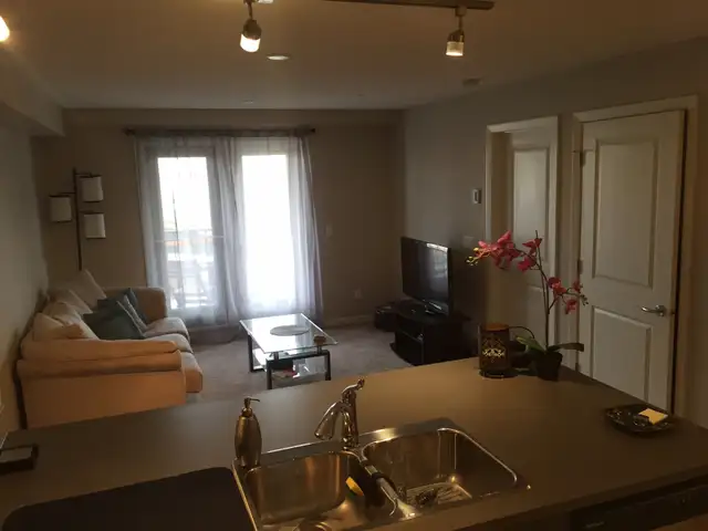 Beautiful Condo for rent - Photo 10