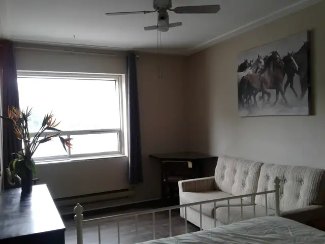 CHAMBRE PRIVEE /ROOM TO RENT,MEUBLÉ TOUS INCLUS,METRO PLAMONDON - Photo 2