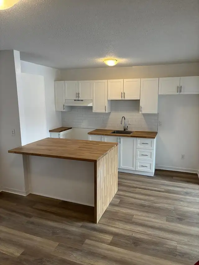 3 1/2 rénové à louer rue Fournier à Granby - Photo 2