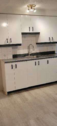 Grand 3 1/2 a louer Demi sous-sol quartier st-michel