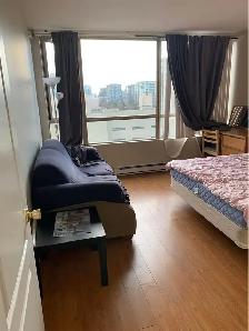 Spacious Fully Furnished Master Bedroom with Private Bathroom – - Photo 2
