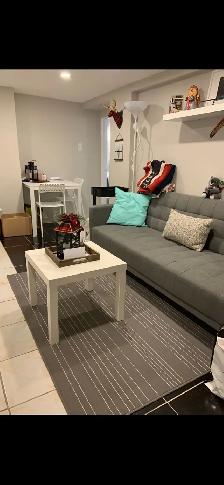 Bachelor Basement Apartment - Photo 3