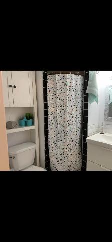 Bachelor Basement Apartment - Photo 6