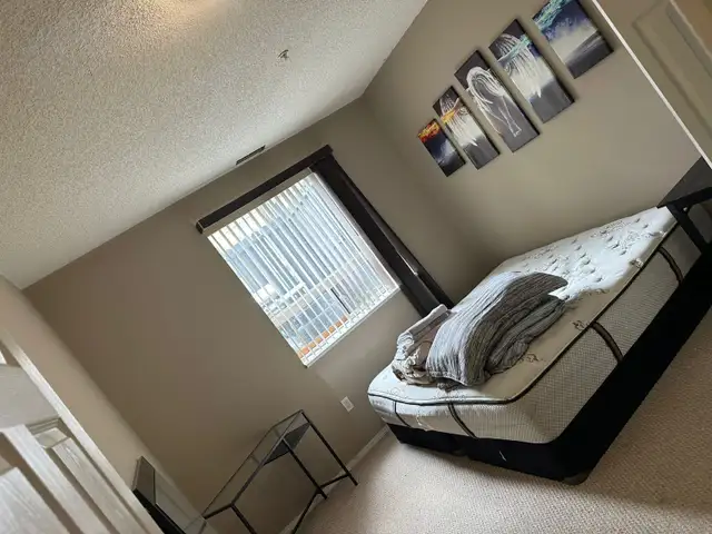 Available Now Furnished 1 Bd Downtown -U/G Parking, Internet - Photo 13