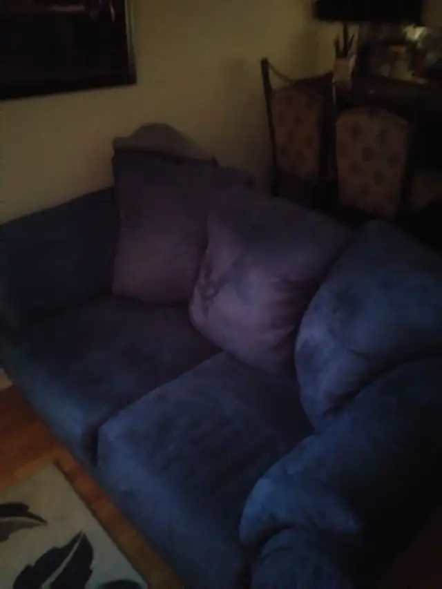 COUCH AND LOVE SEAT - Photo 2
