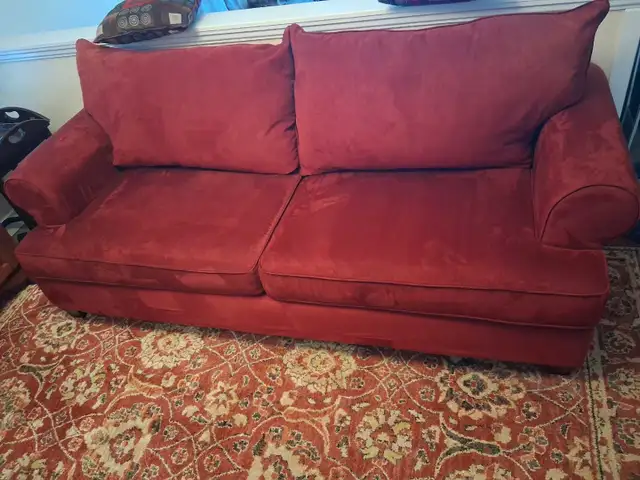 Comfortable 2-Cushion Sofa - Photo 4